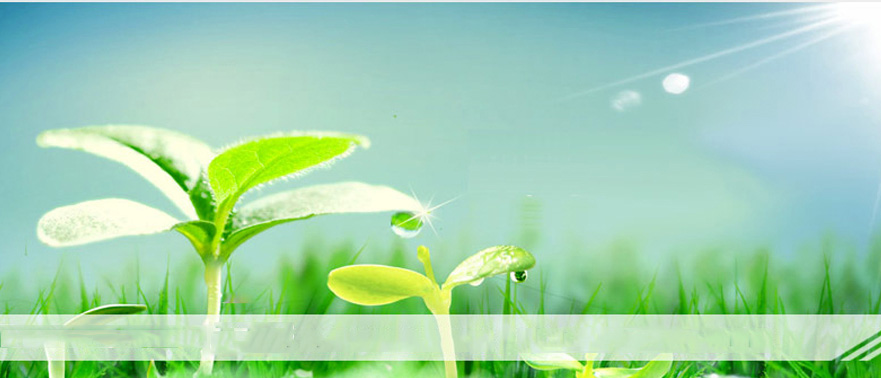 About us_Yixing Rixin Chemical Co., Ltd.