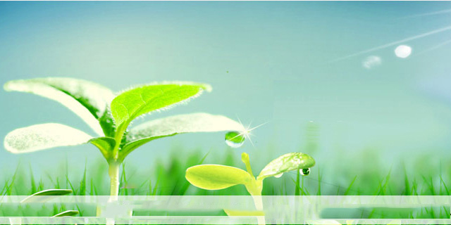 Yixing Rixin Chemical Co., Ltd.